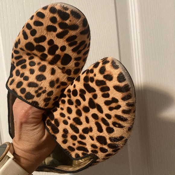 Birdies The Starling
Cheetah Calf Hair - Picture 7 of 8